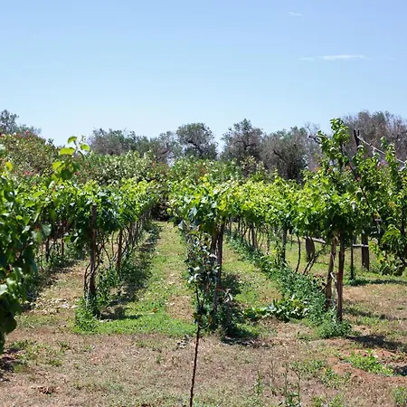 Resort Masseria Messapia Wine & Salento Mesagne