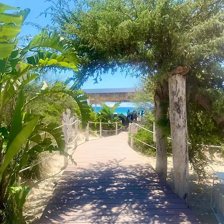Masseria Messapia Wine & Salento