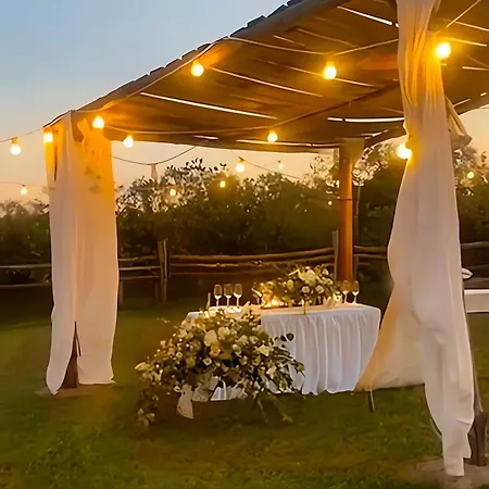 Masseria Messapia Wine & Salento